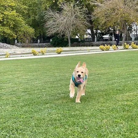 Cantinhos Da Serra E Sope, Вилла Soure