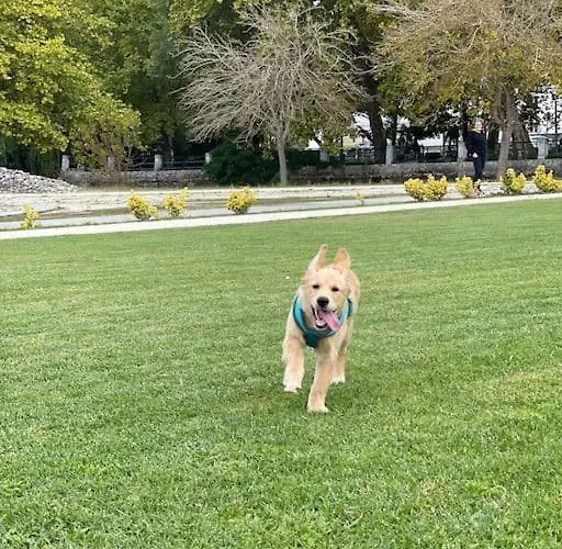 Cantinhos Da Serra E Sope, ヴィラ Soure